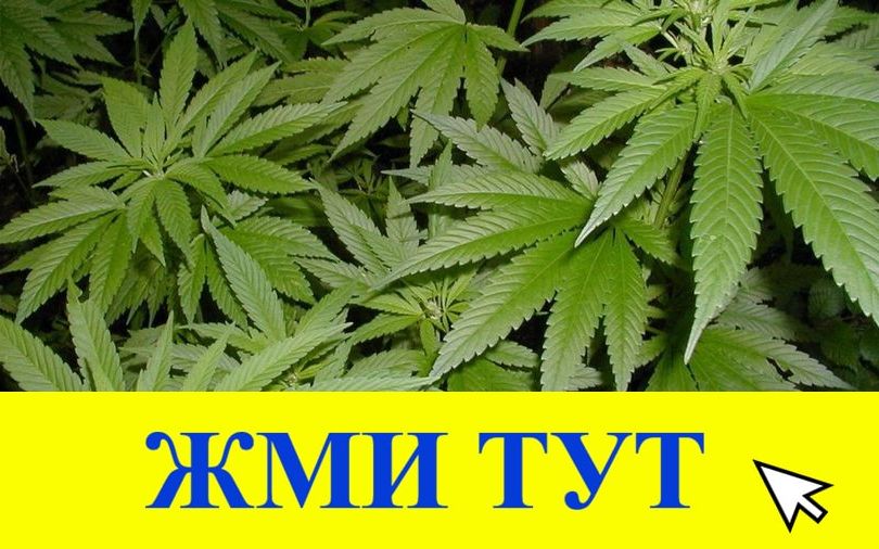 Купить наркотики в Нижнем Тагиле